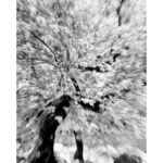 Παναγιώτης Φτάρας