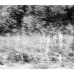 Παναγιώτης Φτάρας