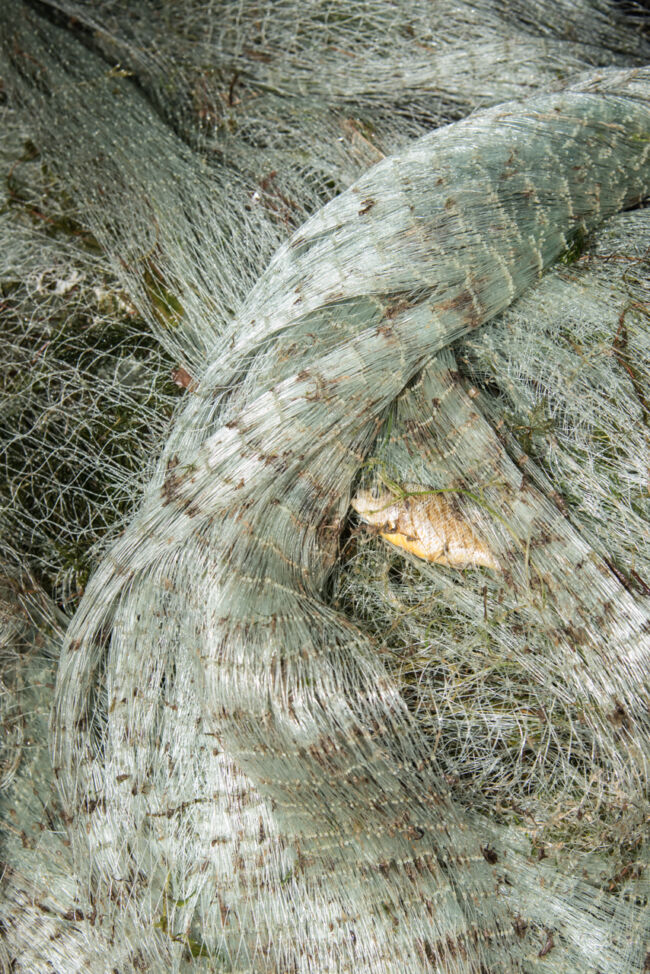 Gian Marco Sanna - Agarthi