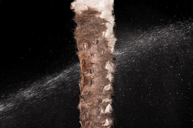 Gian Marco Sanna - Agarthi