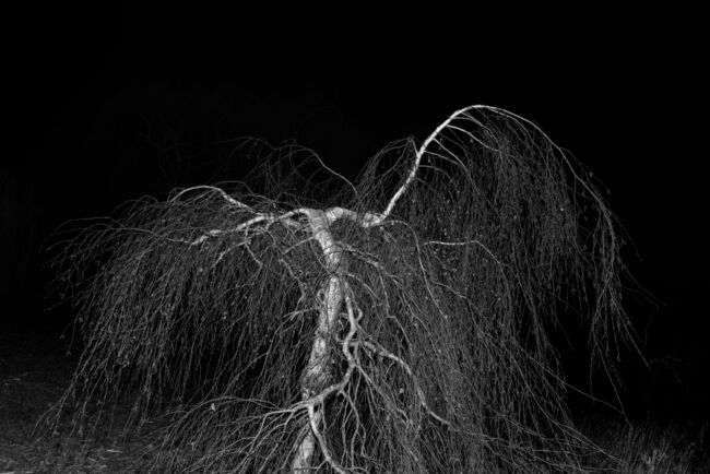 Gian Marco Sanna - Agarthi