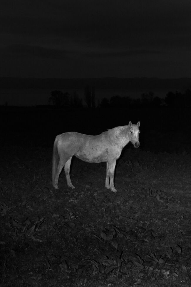 Gian Marco Sanna - Agarthi