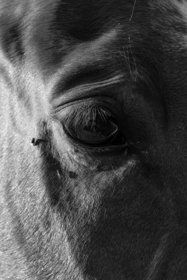 Gian Marco Sanna - Agarthi