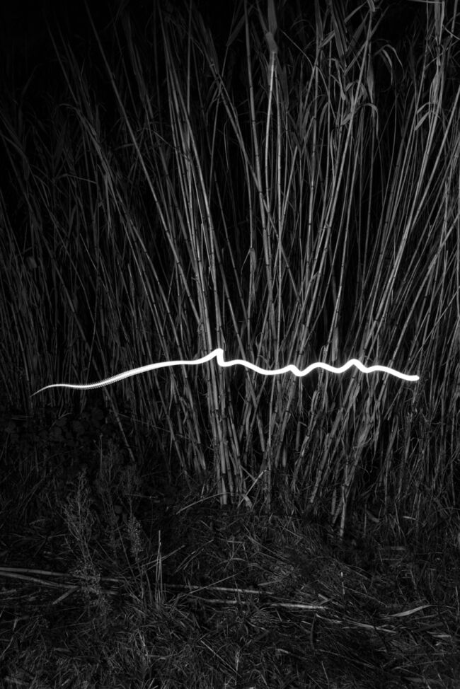 Gian Marco Sanna - Agarthi