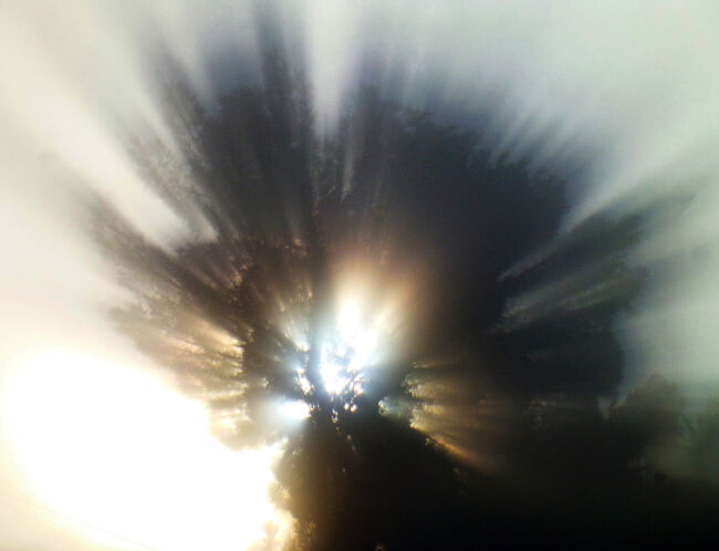 Δημήτρης Θεοδόσης