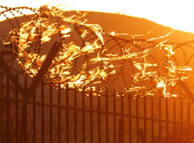 Δημήτρης Θεοδόσης