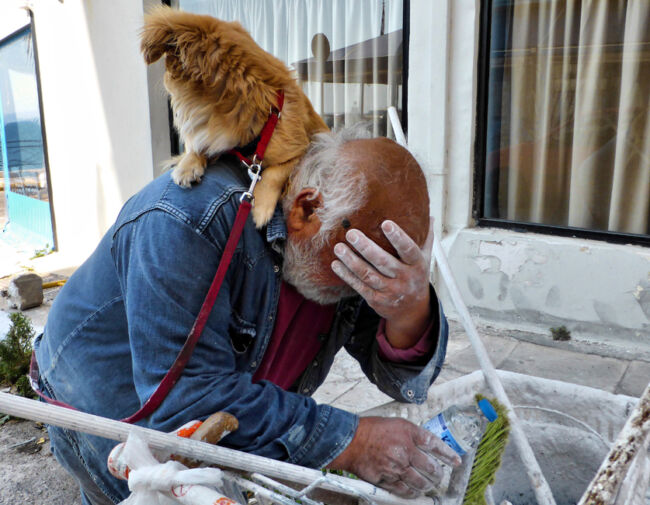 Δημήτρης Θεοδόσης