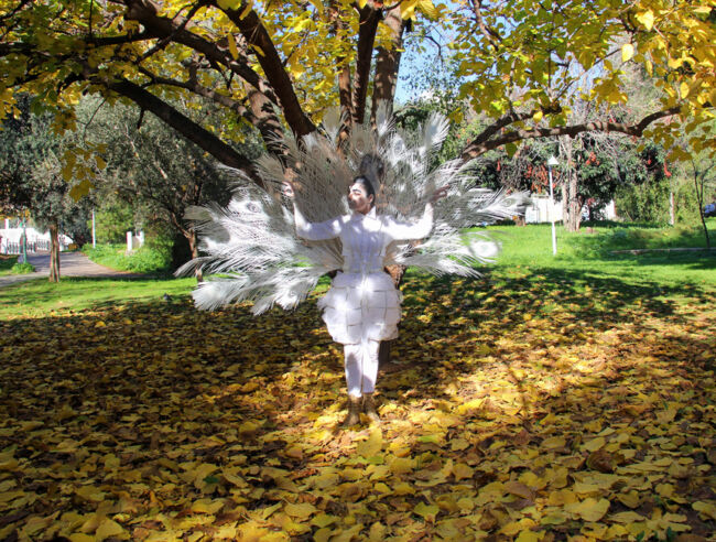 Δημήτρης Θεοδόσης