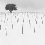 Γιώργος Γεωργαντάς