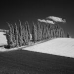 Γιώργος Γεωργαντάς