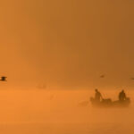 Δημήτρης Κατσούλας