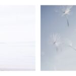 Φανή Καρανικόλα