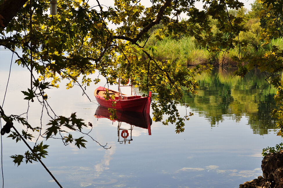 Θεόδωρος Νίκου