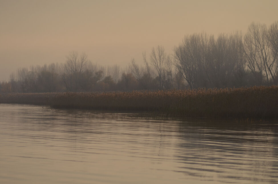 Γιάννης Ρουσόπουλος