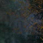 Haris Kakarouhas, Natural Presence