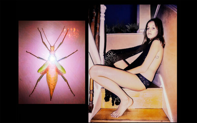 Lily Zoumpouli - Lost Transmissions