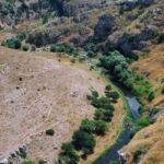 Τζένη Λυκουρέζου