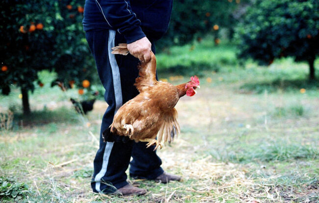 Polyvios Kosmatos_ 12 Sundays Polyvios Kosmatos_ 12 Sundays