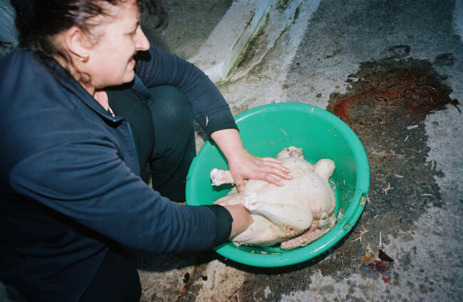 Polyvios Kosmatos_ 12 Sundays Polyvios Kosmatos_ 12 Sundays