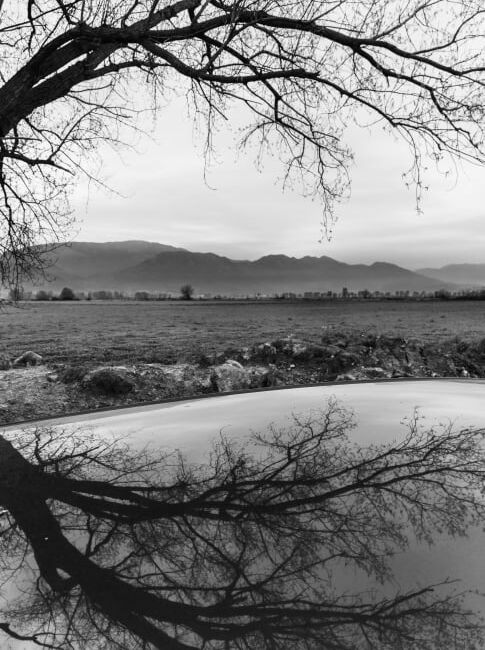 Παναγιώτης Λώλος