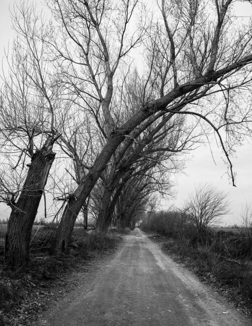 Παναγιώτης Λώλος