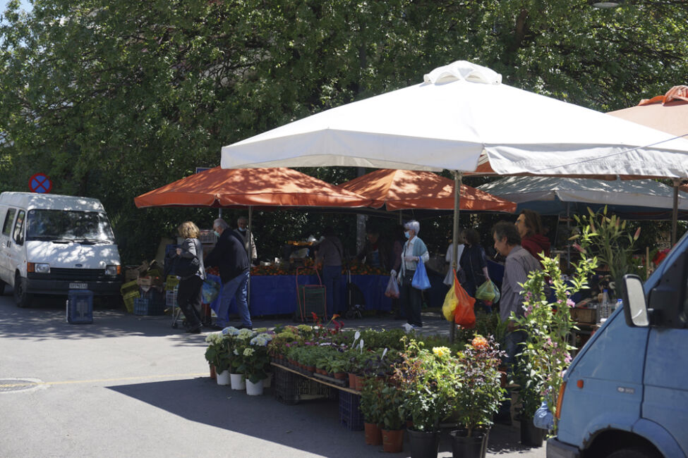 Νότα Τρίγκα