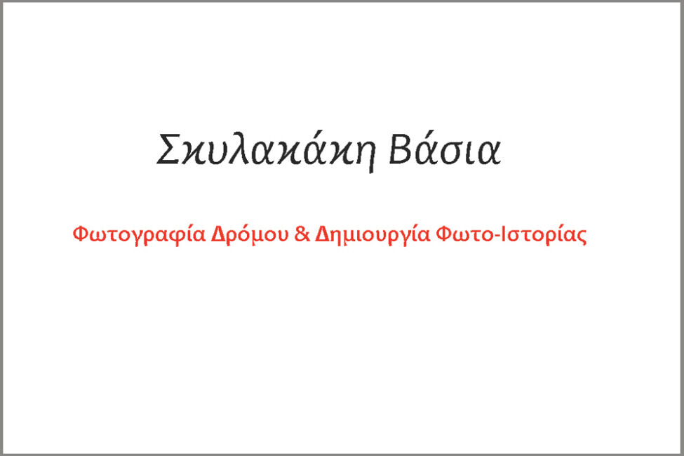 Βάσια Σκυλακάκη