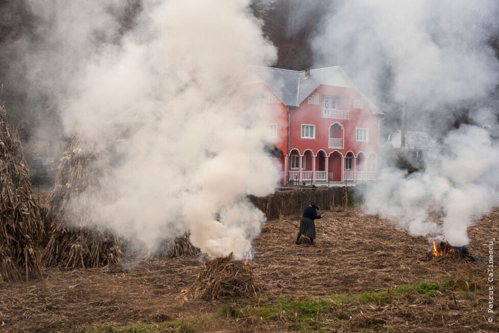 Petrut Calinescu - Pride and Concrete