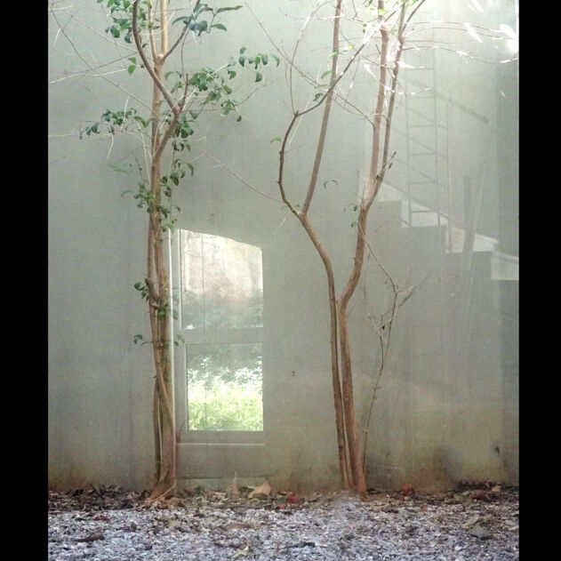 Μάνστον Αλεξανδρα