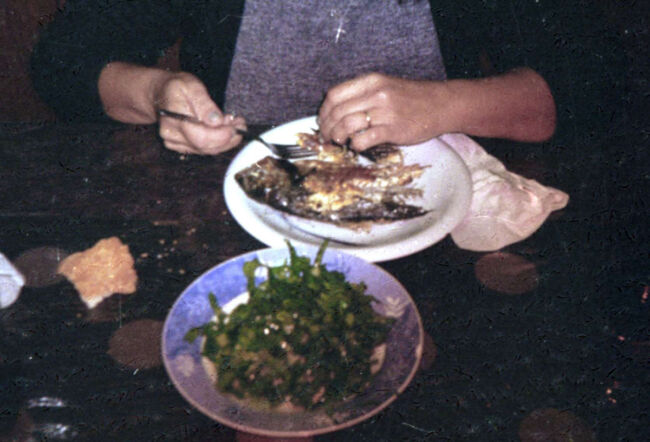 Antonia Petriti - Doesn't the food taste a little strange to you Antonia Petriti - Doesn't the food taste a little strange to you