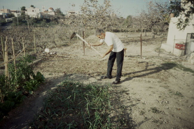 Antonia Petriti - Doesn't the food taste a little strange to you Antonia Petriti - Doesn't the food taste a little strange to you