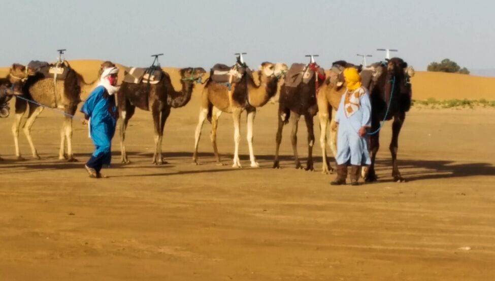 Ματίνα Λαδά