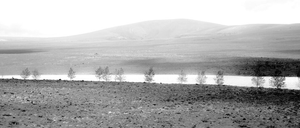 Ματίνα Λαδά