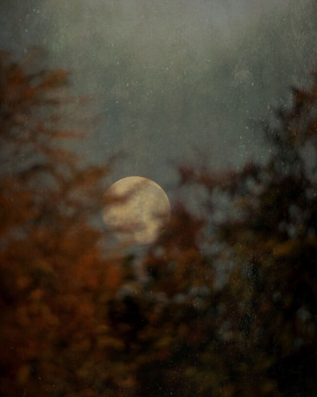 Jennifer Graham (South Africa) @ja_graham | Mujō