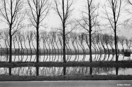 Marc Riboud