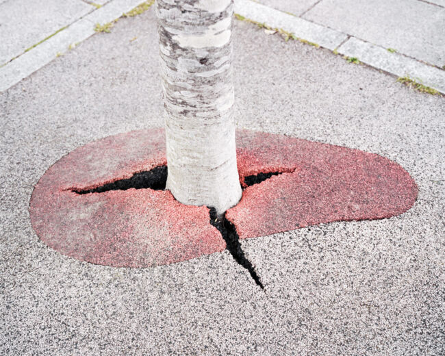 Pawel Jaskiewicz - Zenith