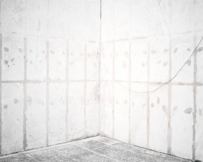 Pawel Jaskiewicz - Zenith