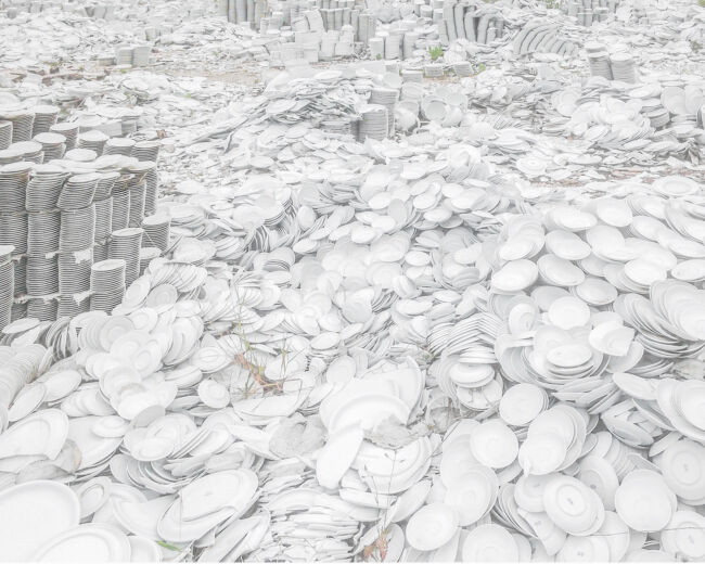 Pawel Jaskiewicz - Zenith