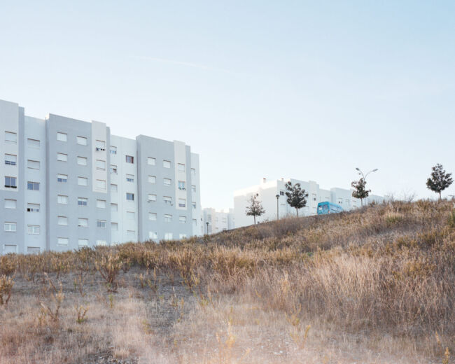 Pawel Jaskiewicz - Zenith