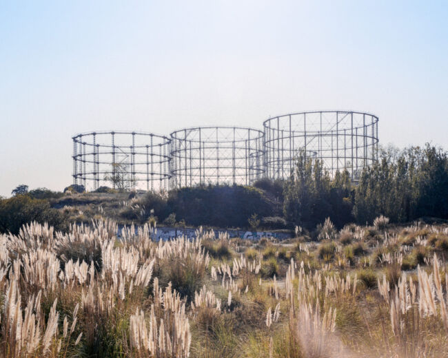 Pawel Jaskiewicz - Zenith