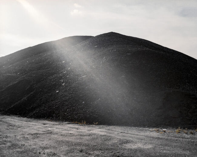 Pawel Jaskiewicz - Zenith