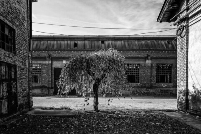 Αντώνης Γιακουμάκης