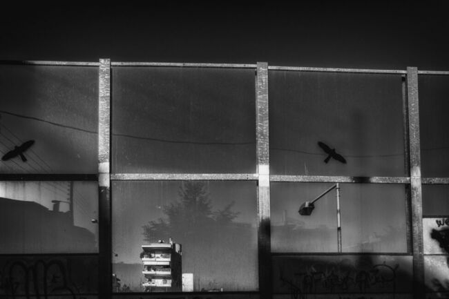 Αντώνης Γιακουμάκης