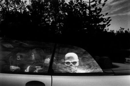 Trent Parke