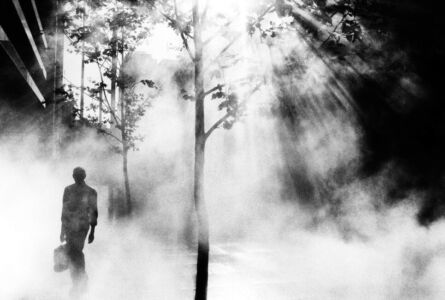 Trent Parke