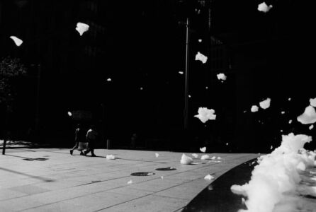 Trent Parke