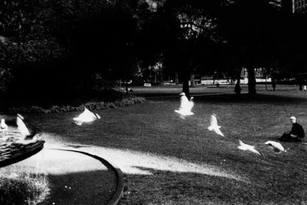 Trent Parke