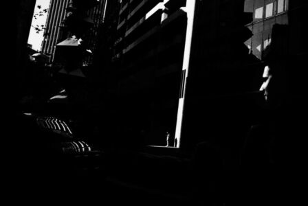 Trent Parke