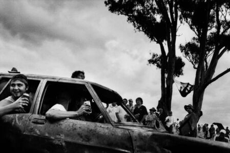 Trent Parke