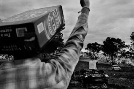 Trent Parke